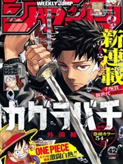 姐姐的朋友4完整版